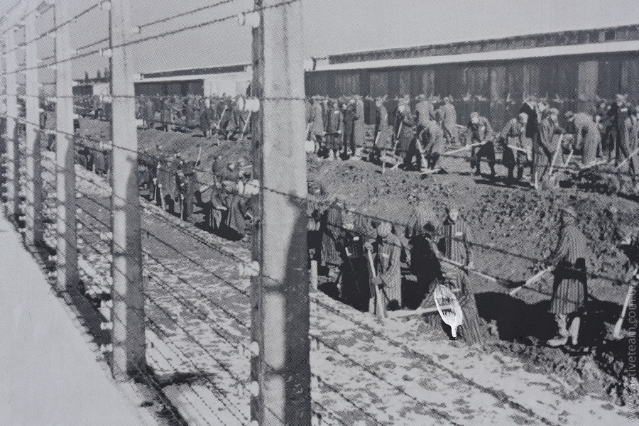 рабочие Освенцема