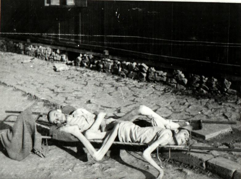 тела погибших в Освенцене