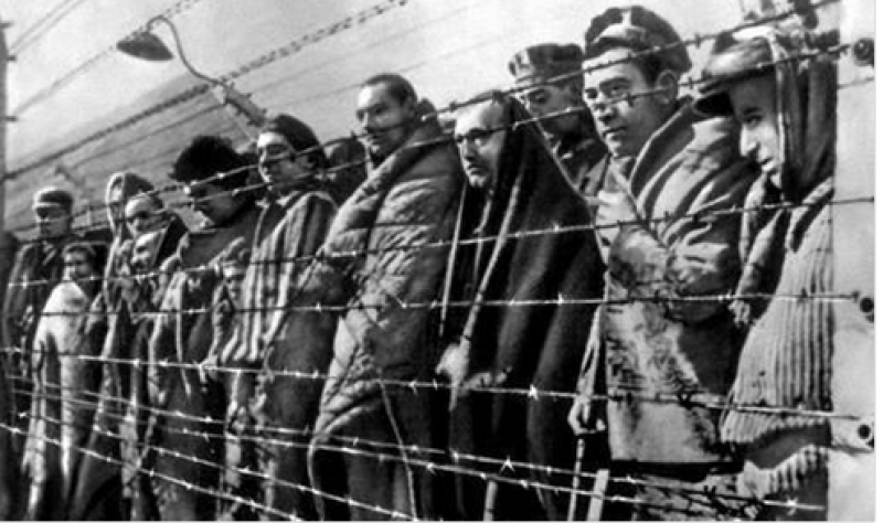 заключенные концлагеря